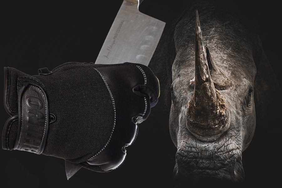 The Return of the Rhino